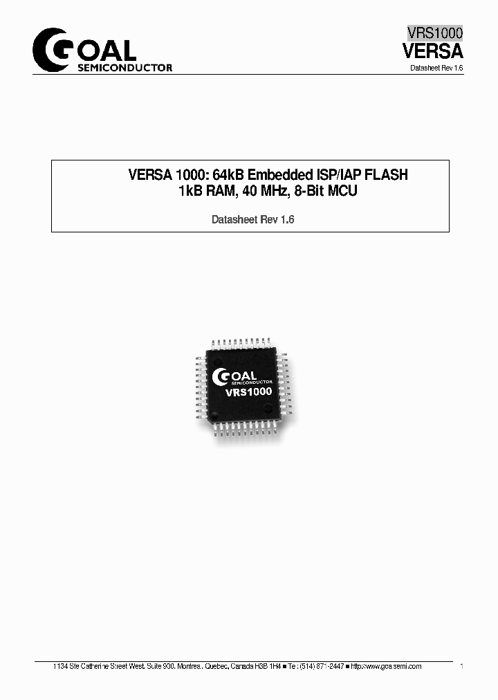 VRS1000-PAI40_4966970.PDF Datasheet